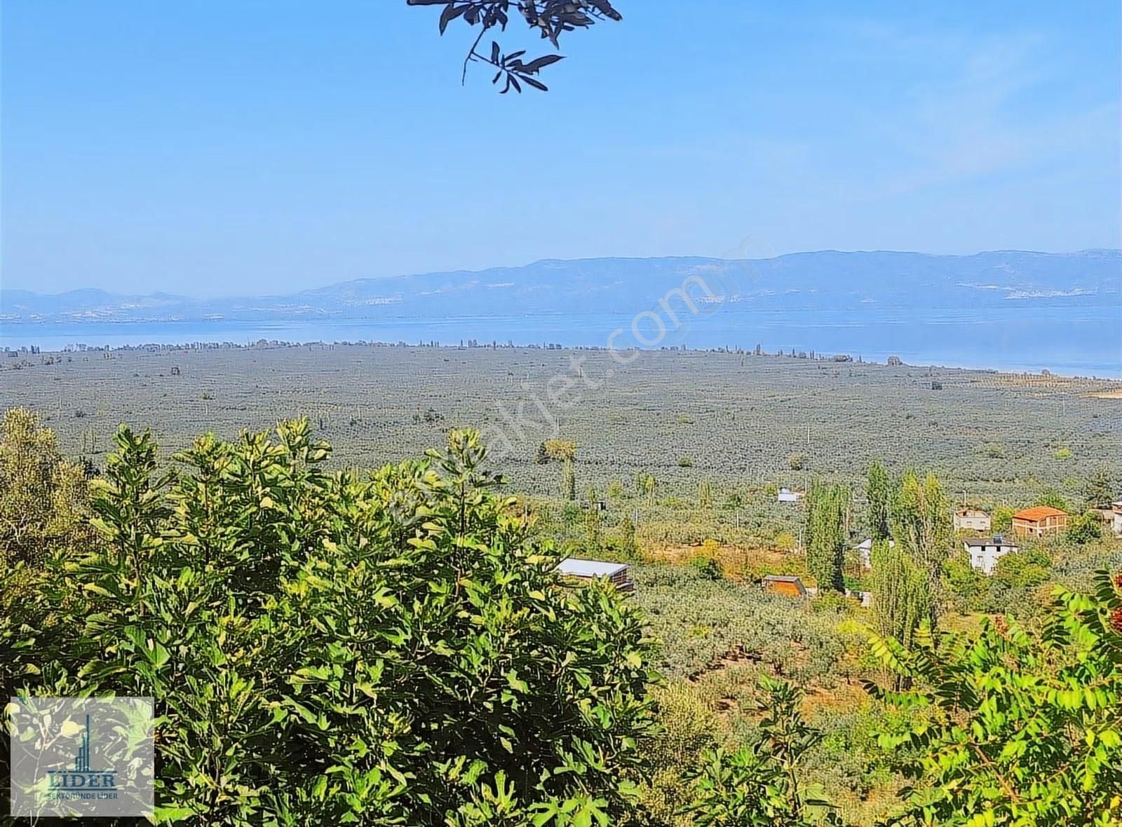 Bursa Orhangazi Heceler Mah.eşsiz Göl Manzaralı 3162m2 Zeytinlik - Görsel 13