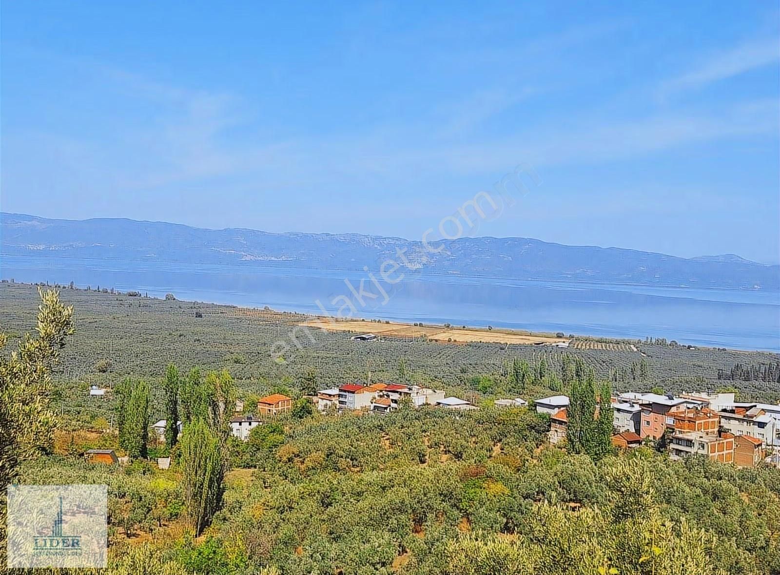 Bursa Orhangazi Heceler Mah.eşsiz Göl Manzaralı 3162m2 Zeytinlik - Görsel 3