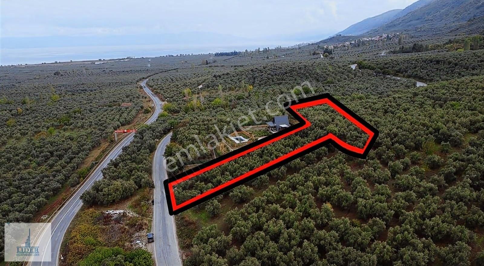 Bursa Orhangazi Sölöz Mah. İmar Rezervinde 1500m2 Arsa - Görsel 13