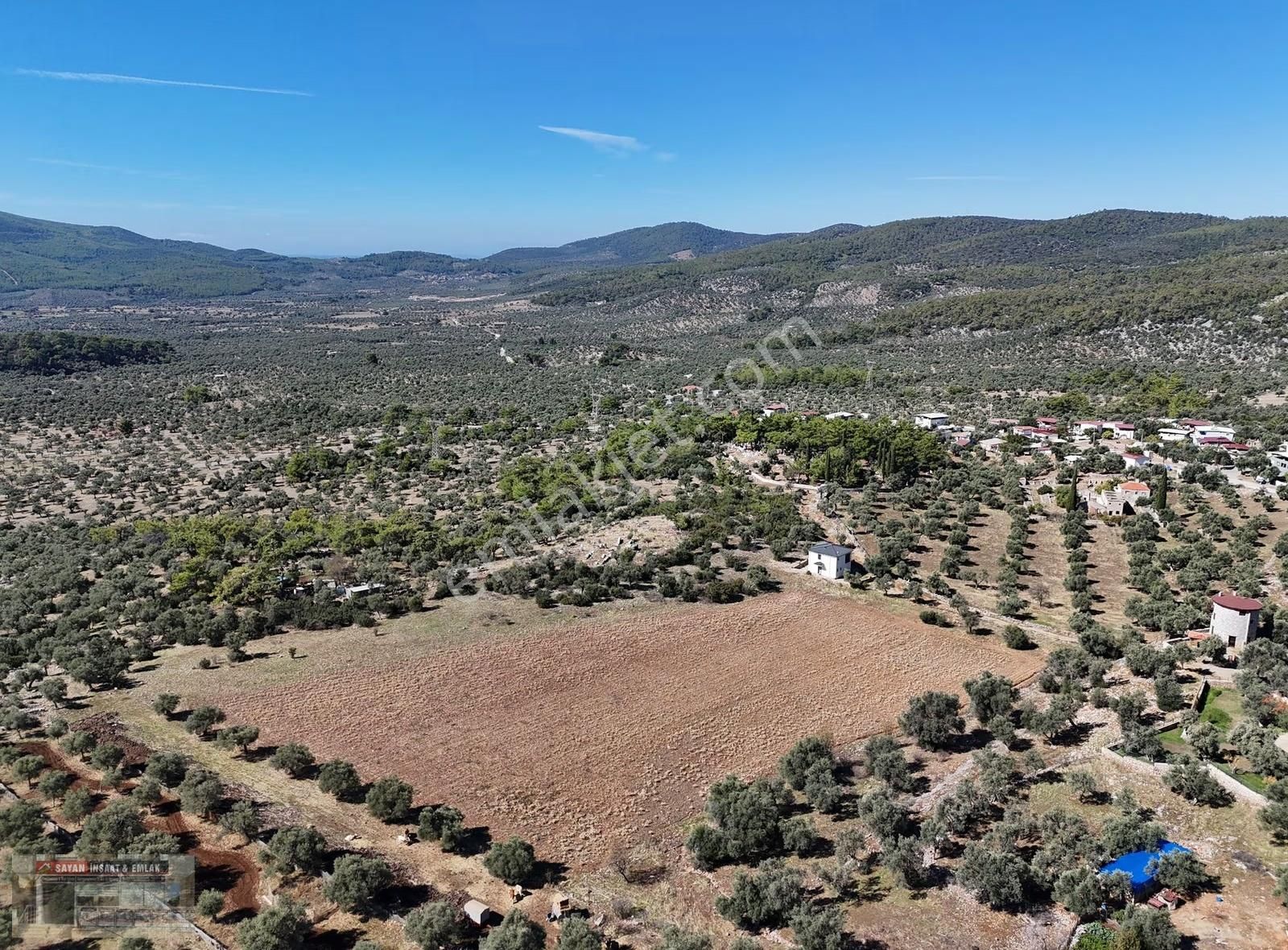 Muğla Milas Kazıklı Köyü İçinde 22 Dönüm Tarla Ve Zeytinlik - Görsel 8