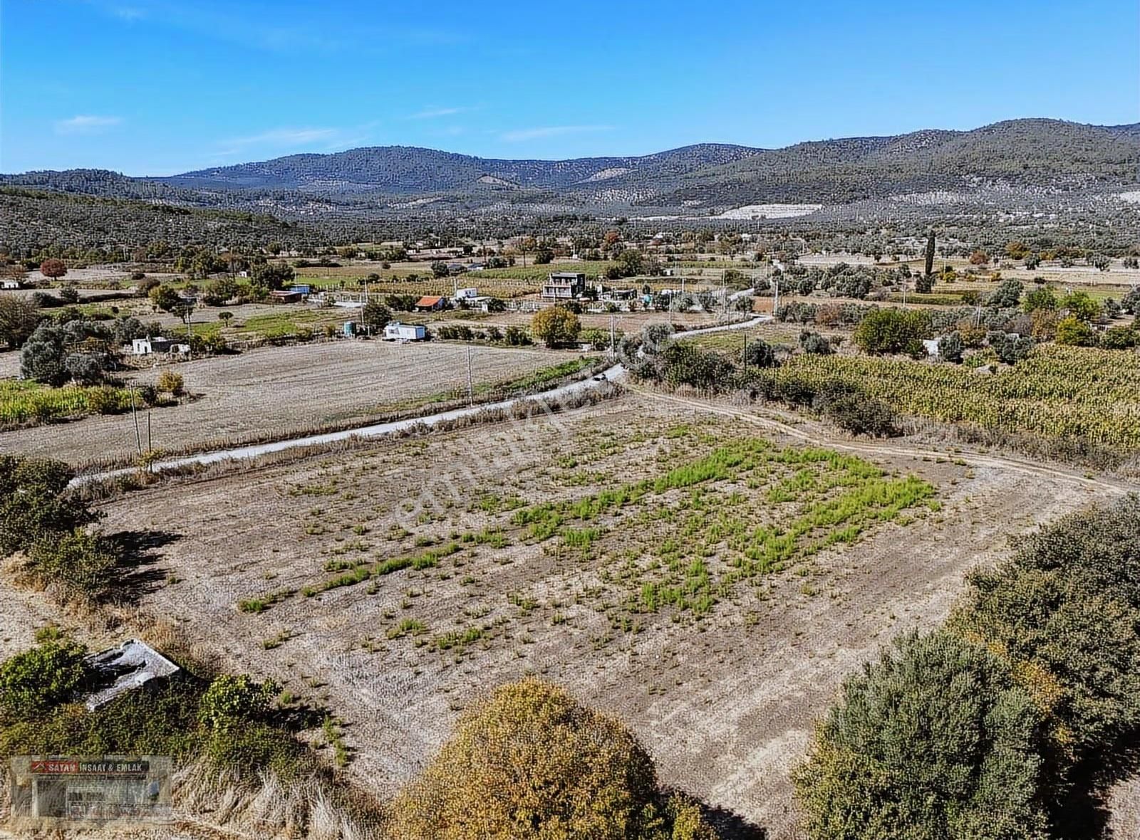 Muğla Milas Kazıklı Koyuna 300 Metre Mesafede 6 Dönüm Tarla - Görsel 2