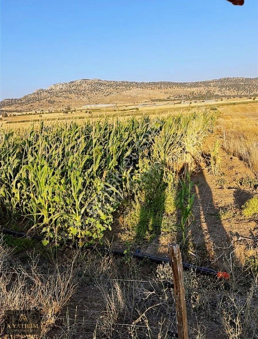 Burdur'da Satlık Tarla Acil - Görsel 5