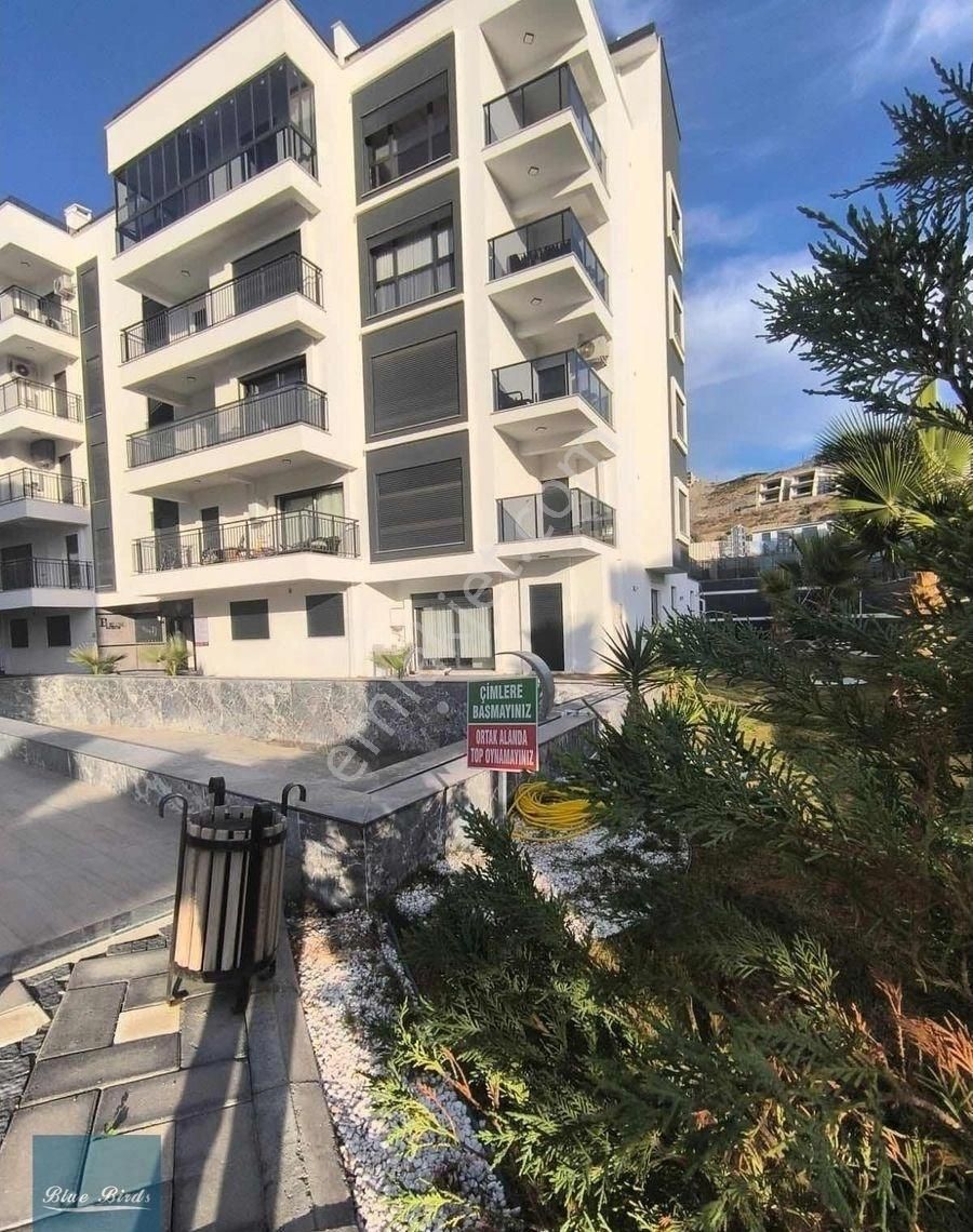 Kuşadasında Sıfır Yerden Isıtmalı Daıre - Görsel 4