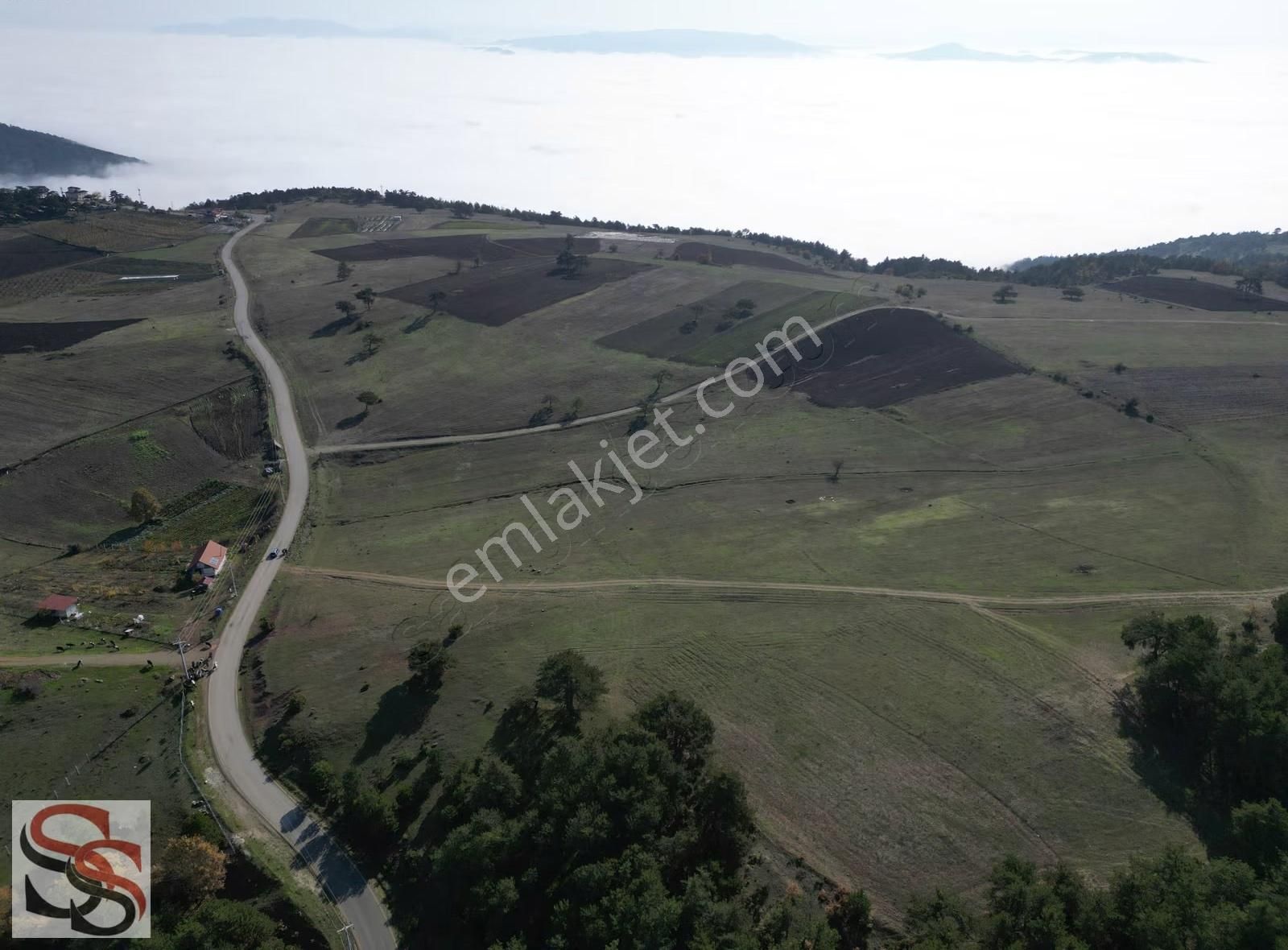 Pamukova Çilekli Köyünde Harika Konumda Yatırımlık Tarla - Görsel 3