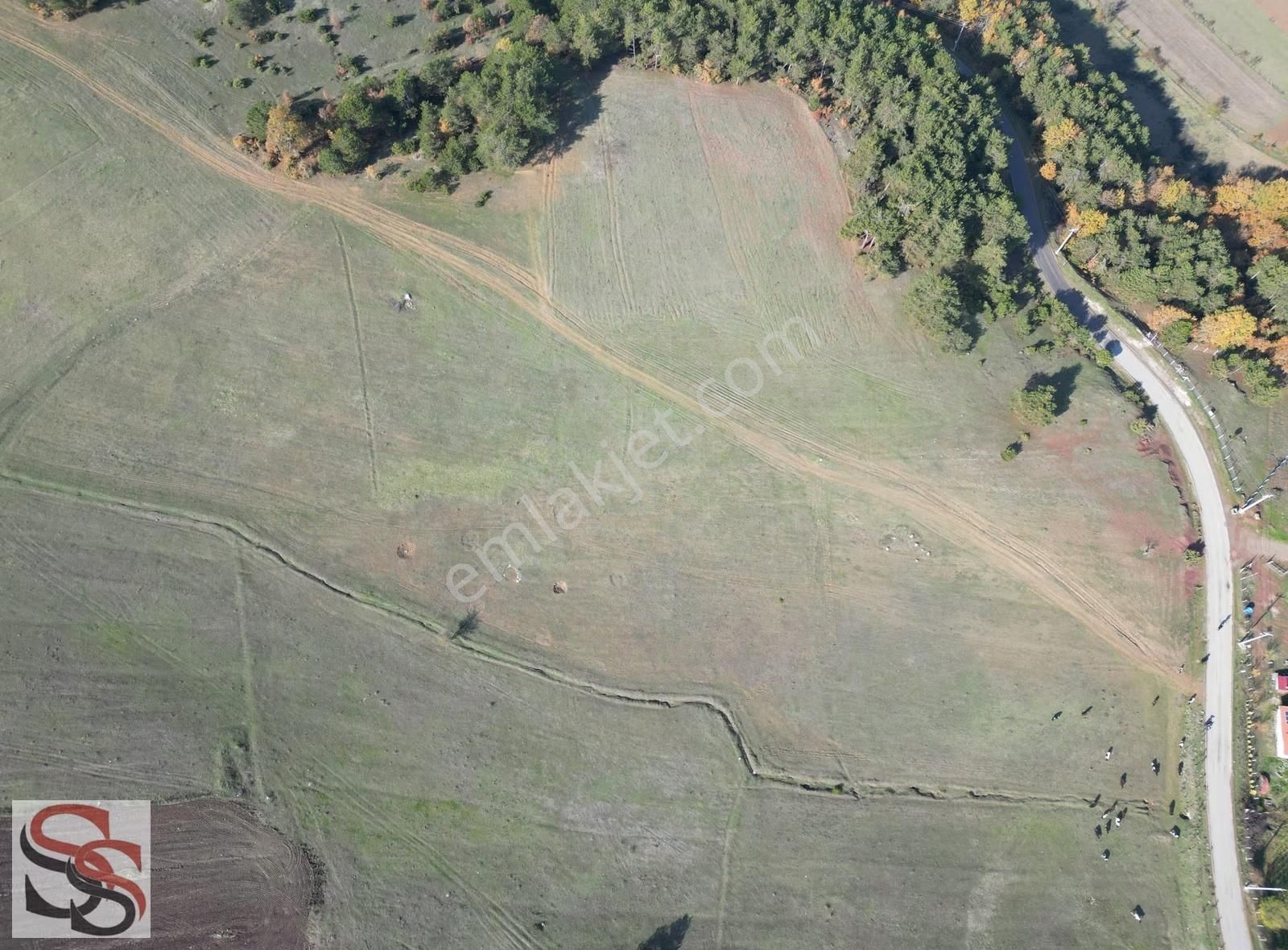 Pamukova Çilekli Köyünde Harika Konumda Yatırımlık Tarla - Görsel 15