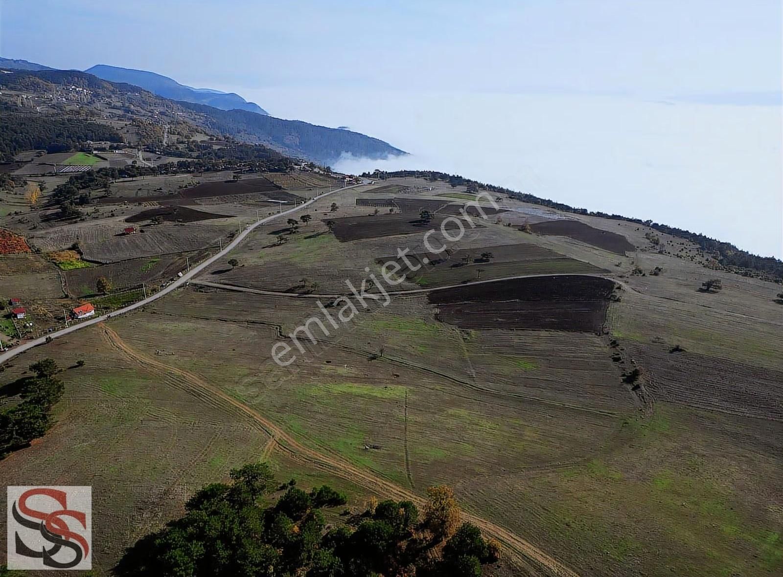 P.ova Çilekli Köyünde Harika Konumda 3.920 M² Yatırımlık Tarla - Görsel 2