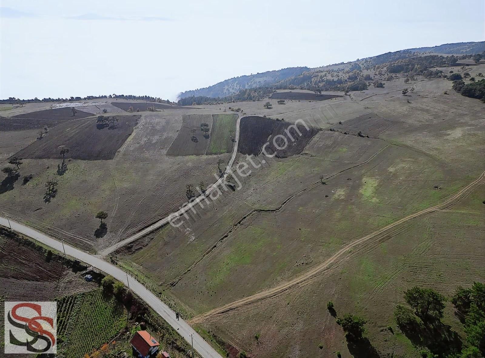 P.ova Çilekli Köyünde Harika Konumda 3.920 M² Yatırımlık Tarla - Görsel 28