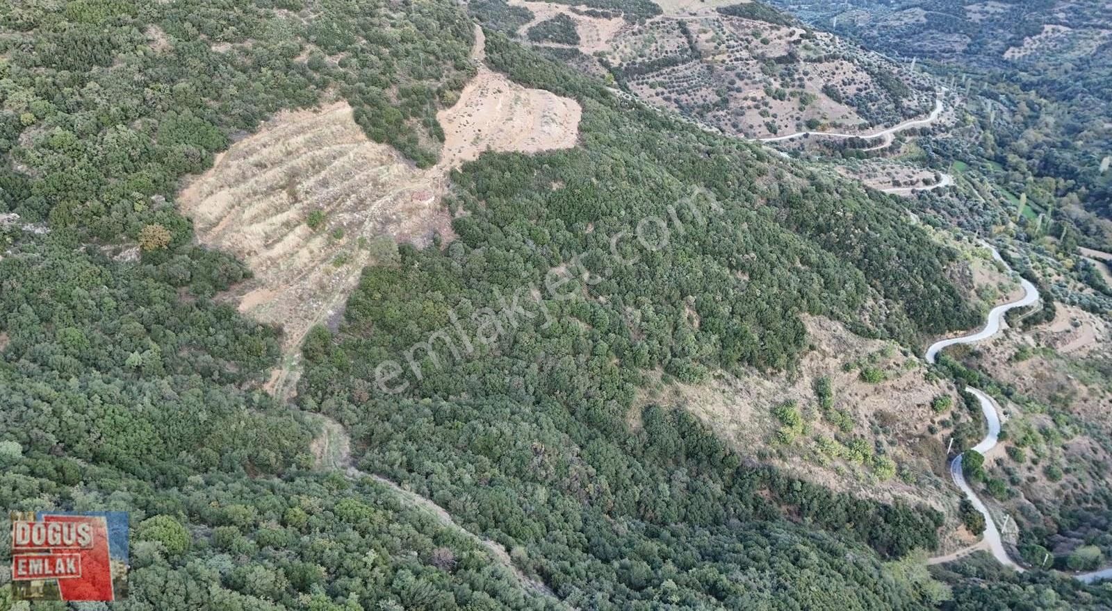 Tire Doğuş Emlaktan Osmancıkta Satılık Arsa - Görsel 2