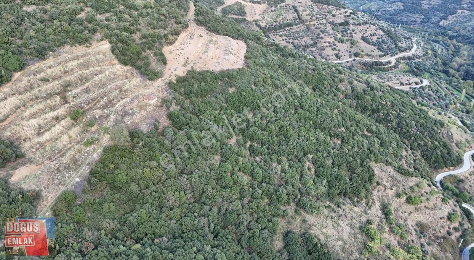 Tire Doğuş Emlaktan Osmancıkta Satılık Arsa