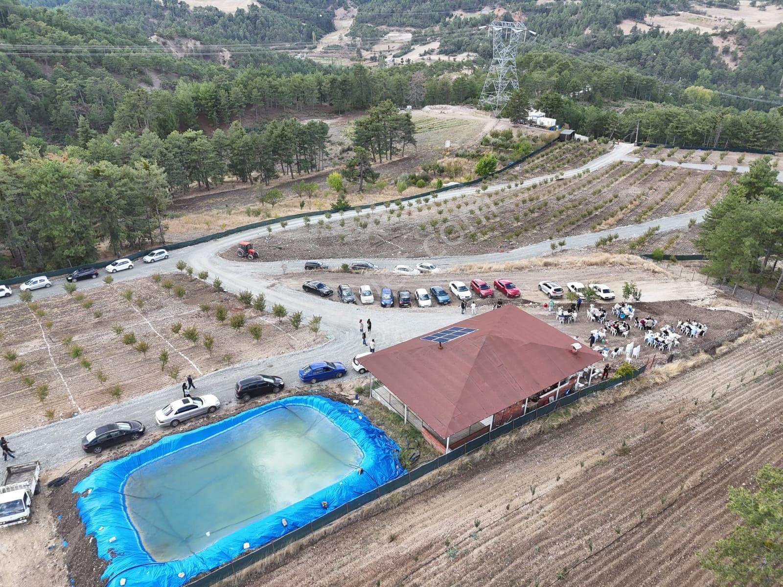 Bsm'den Muhtesem Doga Harìkası Hobby Bahçesí - Görsel 4