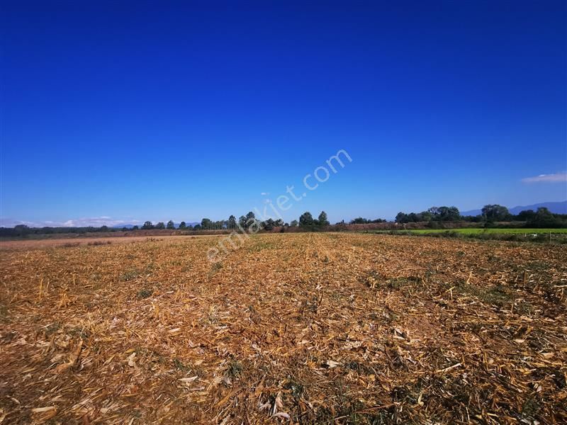Sakarya Akyazı Yatırımlık Fırsat Parseli Tarla-arsa - Görsel 2