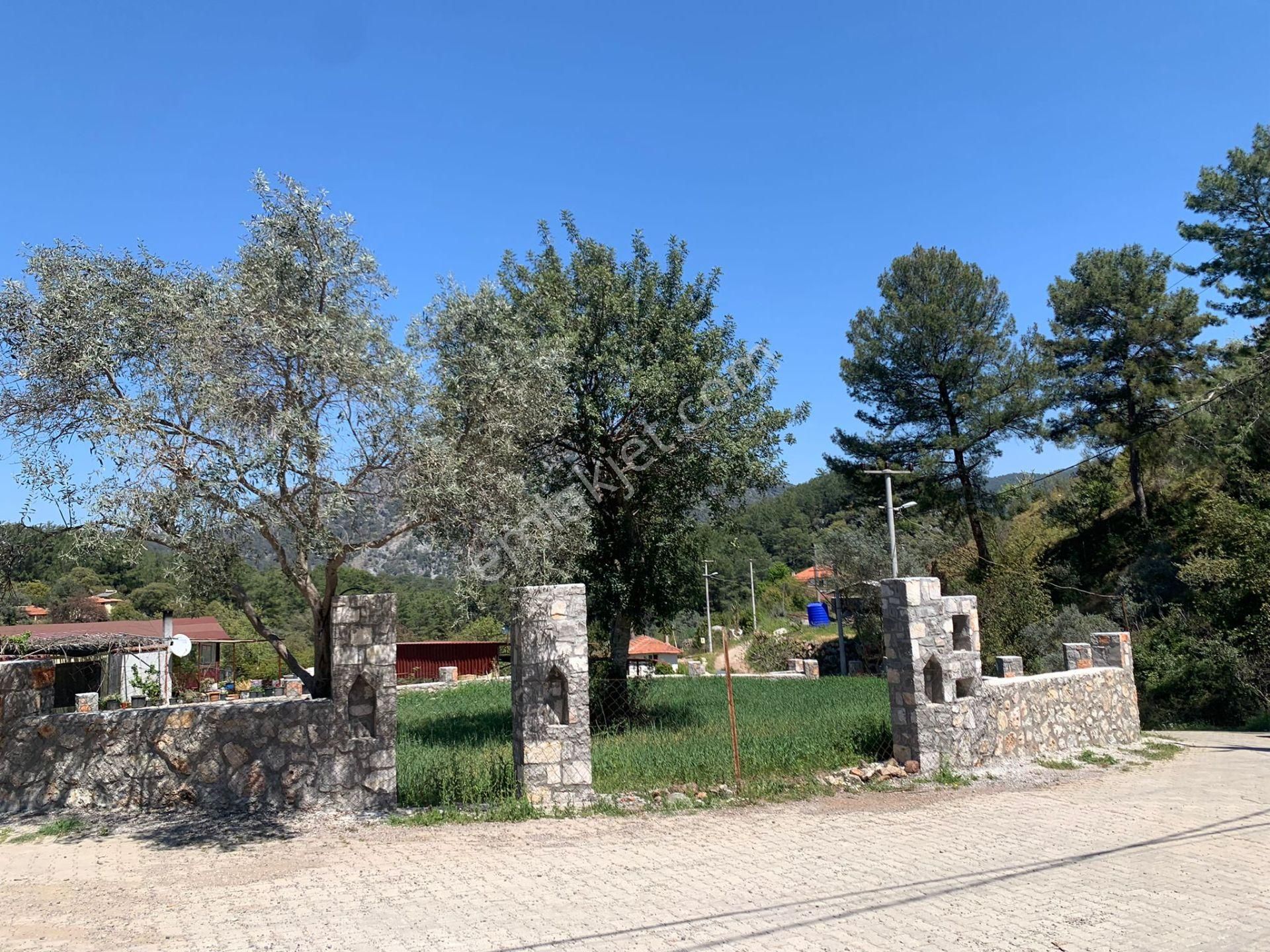 Dalyan Gökbelde 678 M2 Hisse Satılık - Görsel 9