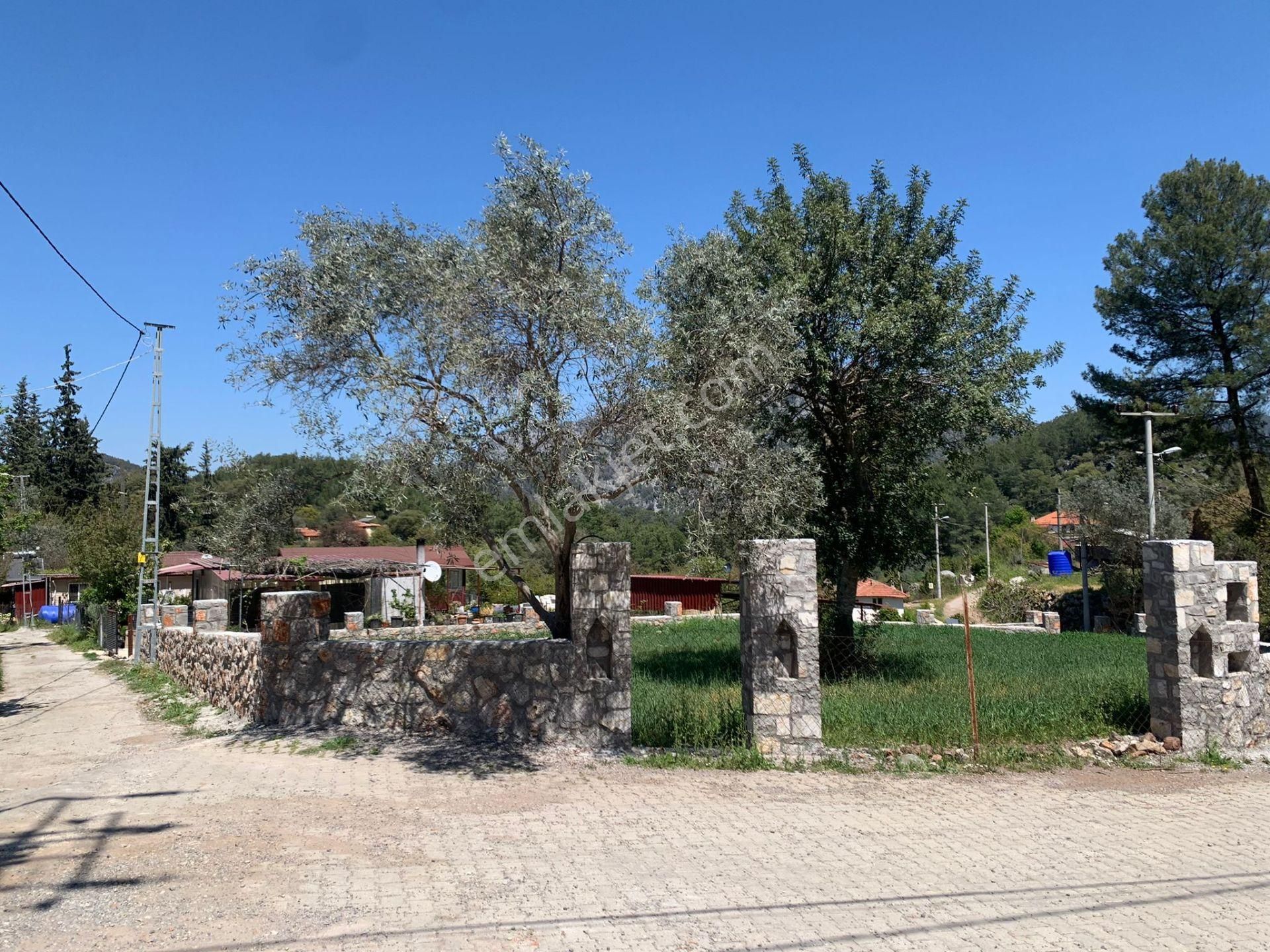 Dalyan Gökbelde 678 M2 Hisse Satılık - Görsel 7