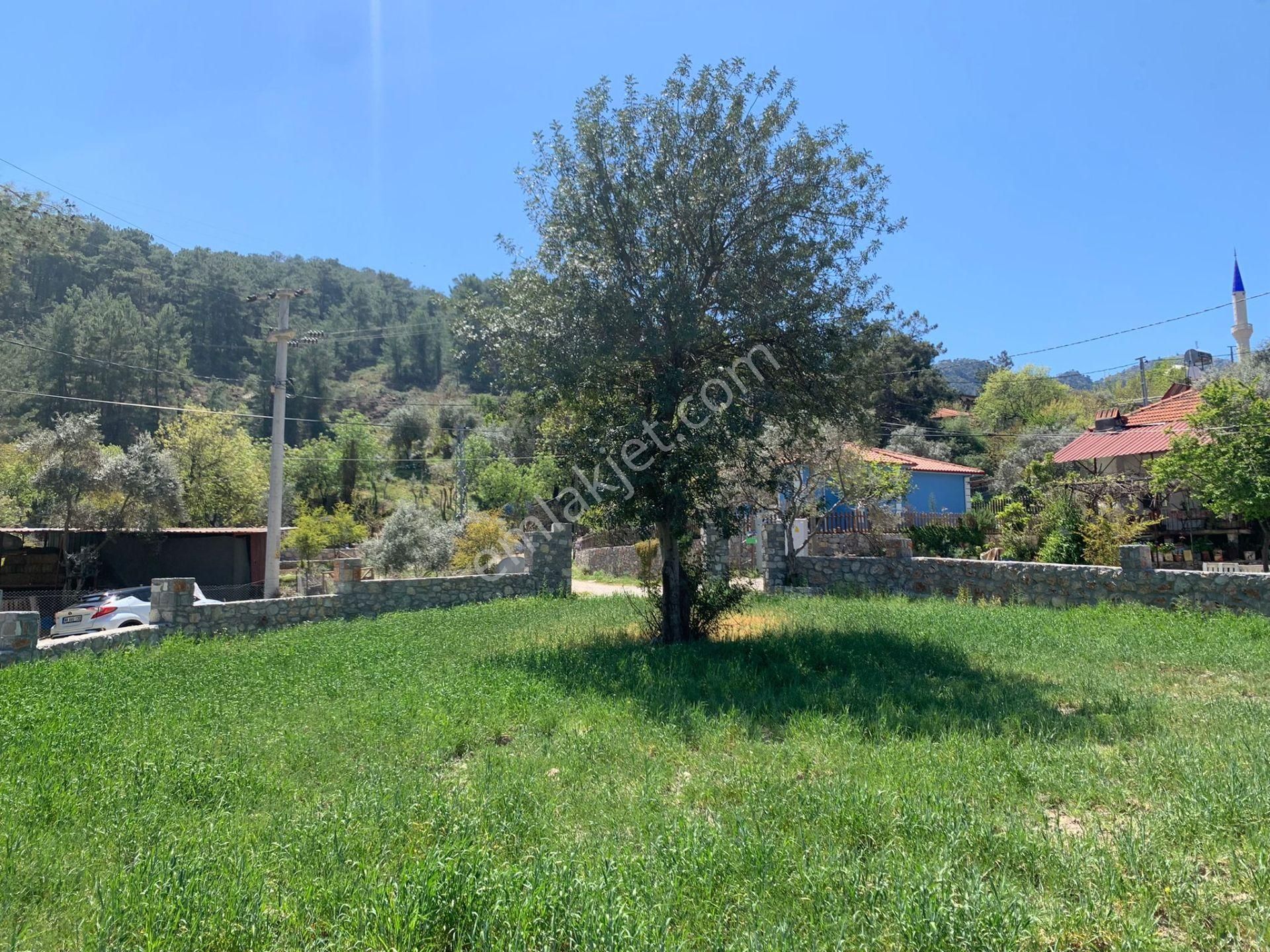 Dalyan Gökbelde 678 M2 Hisse Satılık - Görsel 3