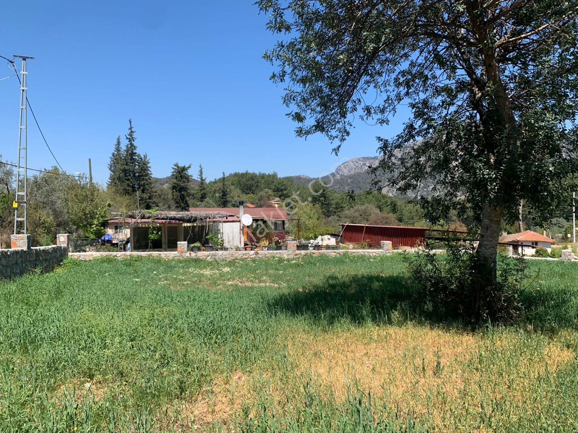 Dalyan Gökbelde 678 M2 Hisse Satılık - Görsel 5