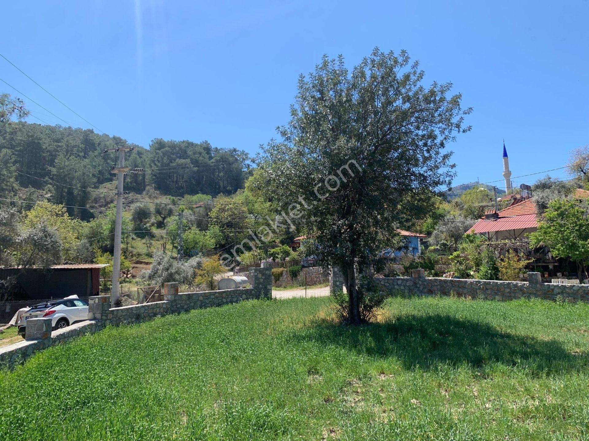 Dalyan Gökbelde 678 M2 Hisse Satılık - Görsel 2