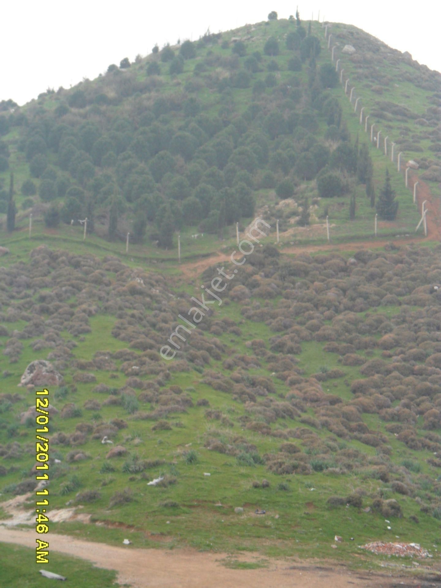 Bayraklı Onur Mahallesin De Hissemi Arıyorum Diyen Satılık Hissesini Arayan Arsa Sahipleri - Görsel 22