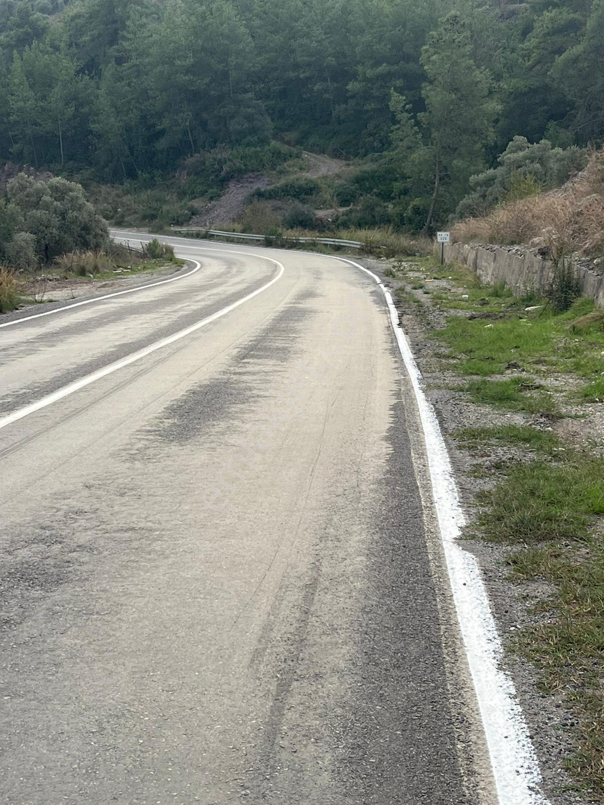 Muğla Milas Çakıralan Da 1.025 M2 Nitelik Zeytinlik Olan Arazi Satılık - Görsel 14