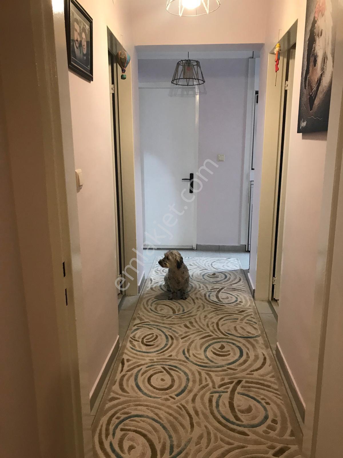 General Zeki Doğan Mahallesinde 3+1 Yüksek Giriş Yapılı Daire - Görsel 12
