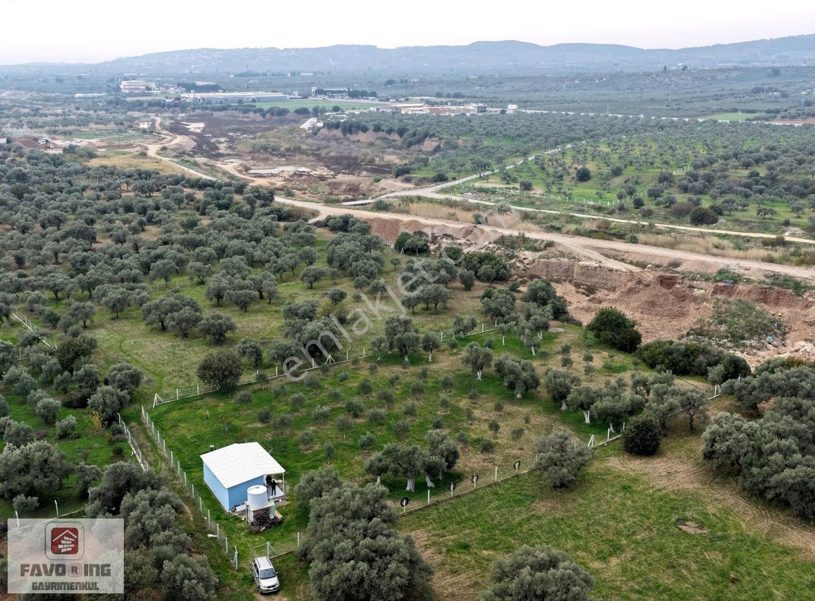 Torbalı Karakuyu | 3.452m2 Tarla Zeytinlik İçinde 1+1 Ev Fırsatı - Görsel 7