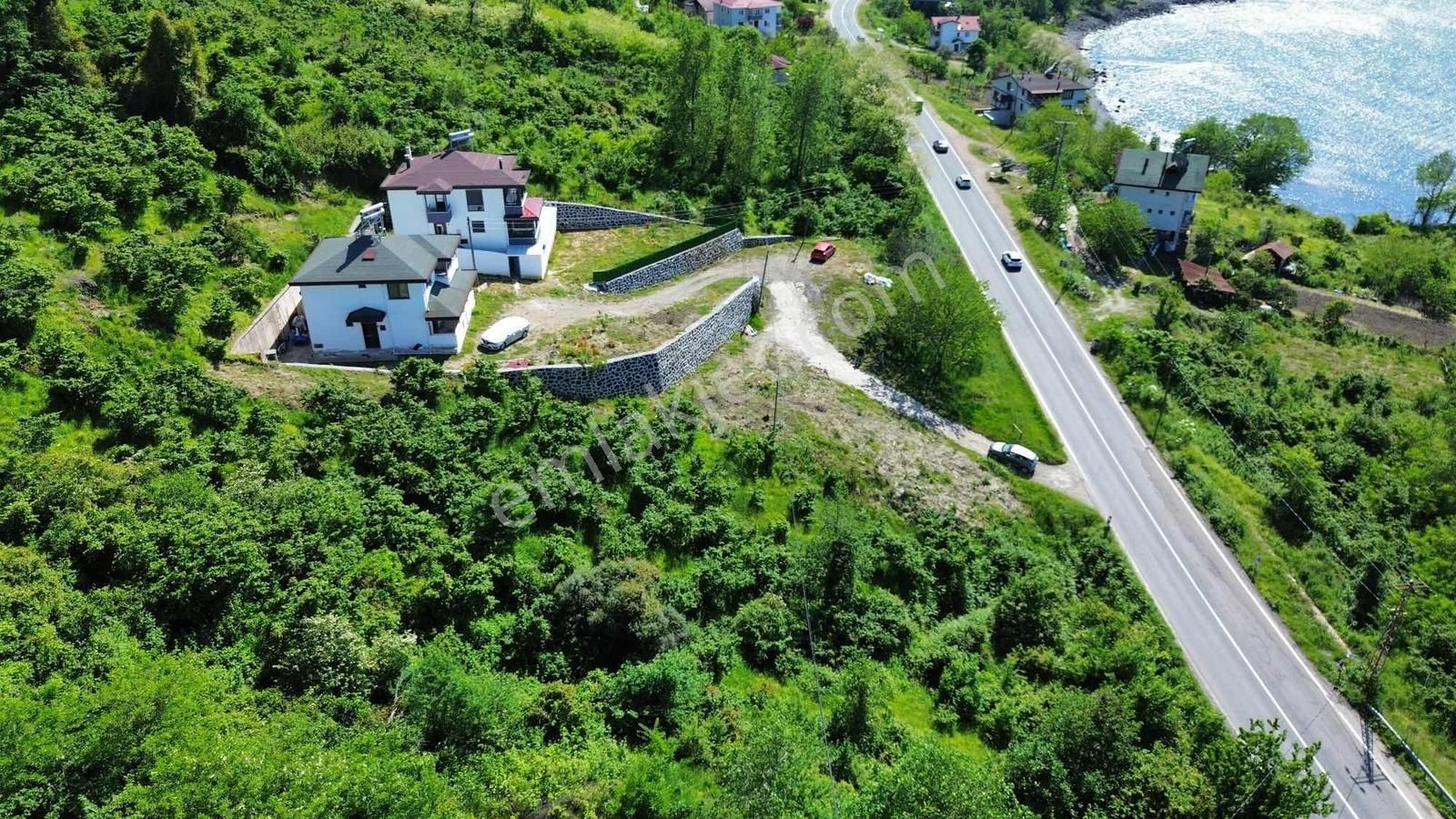 Ulu Gayrimenkul Perşembe Çaytepe Mah. 2618m² Fındık Bahçesi - Görsel 23