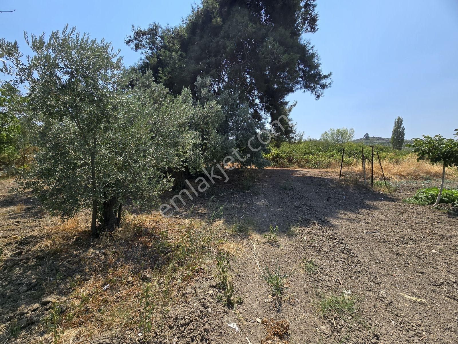 Aydınpınar'da 11,140m2 İmar Planlanması İçerisinde Fırsat Arazi - Görsel 13