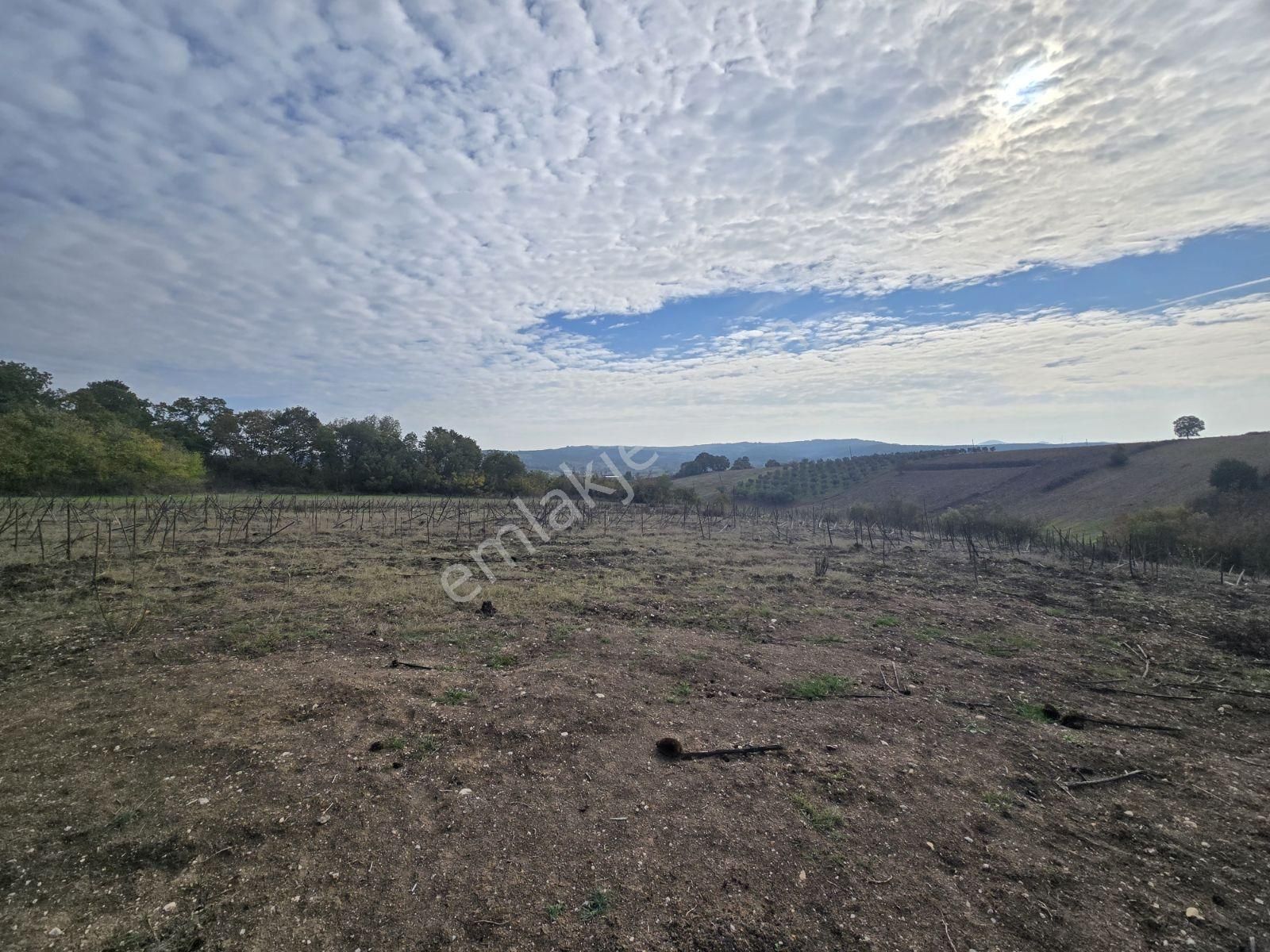 Nilüfer Çaylı 'da 9.150 M2 Tek Tapu Arazi - Görsel 5