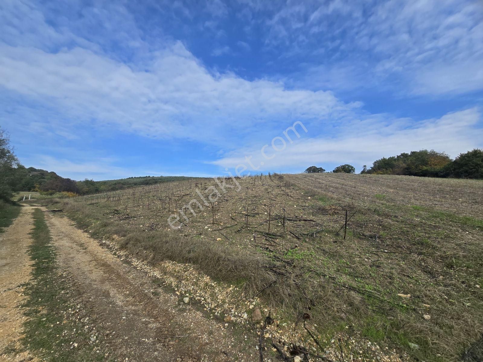 Nilüfer Çaylı 'da 9.150 M2 Tek Tapu Arazi - Görsel 13