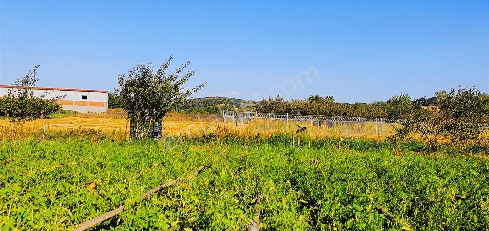 Bursa Mudanya Çekrice'de 360m2 Tek Tapu Köye Yakın Hobi Bahçesi - Görsel 13