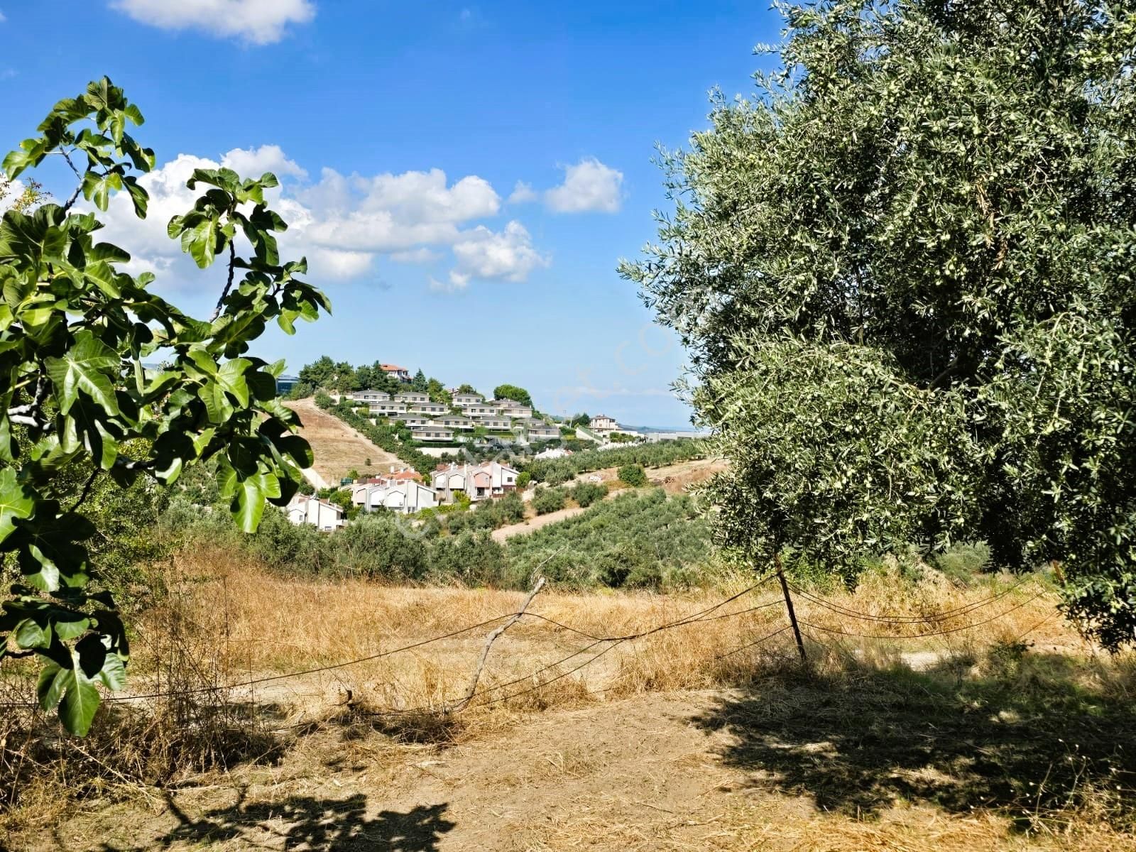 Çağrışan'da İmara Sınır Tektapu Ful Deniz Manzaralı Fırsat Arazi - Görsel 3