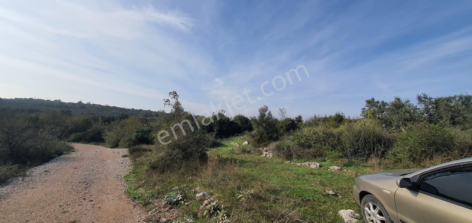 Bursa Nilüfer Gölyazı'da Göl Manzaralı Yola Cephe 3550m2 Arazi - Görsel 8