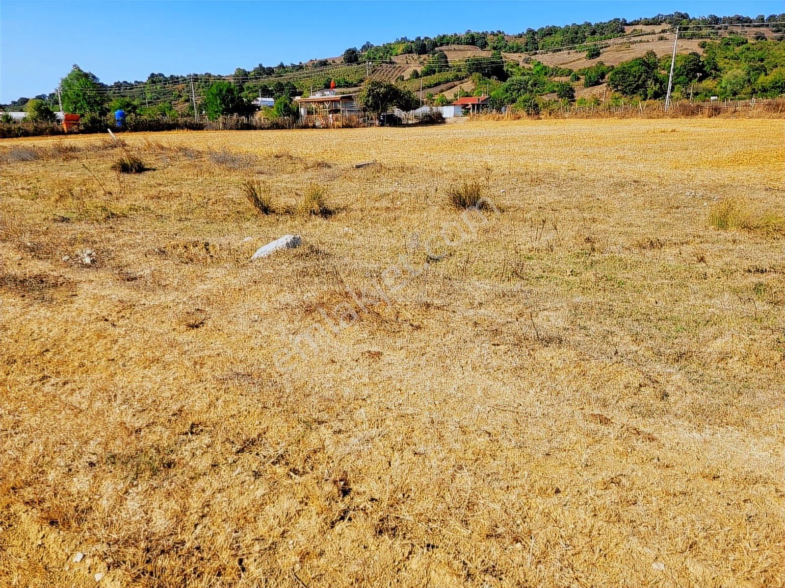 Kandıra Bollu Köyünde Turizm Bölgesinde Fırsat - Görsel 14