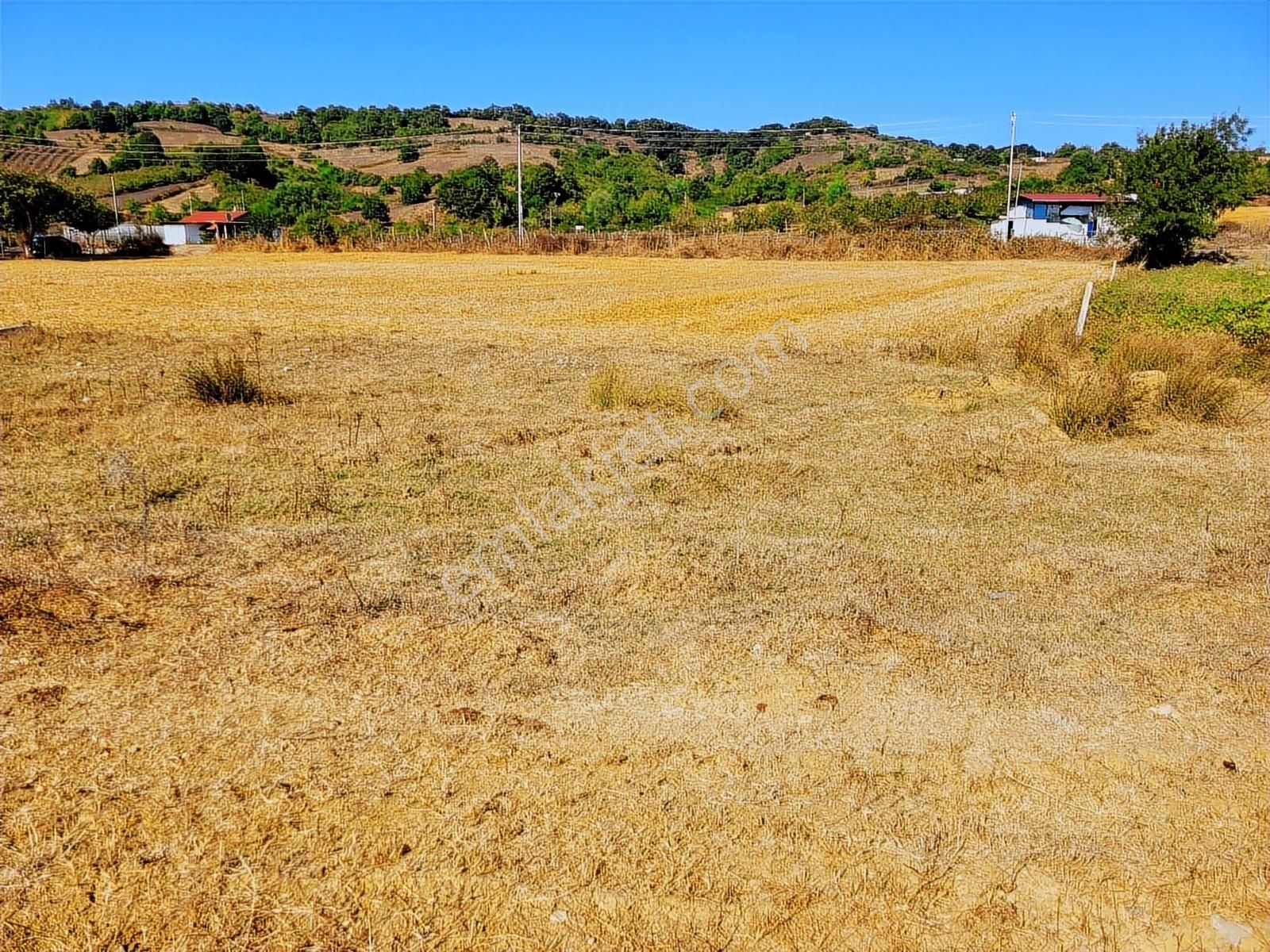 Kandıra Bollu Köyünde Turizm Bölgesinde Fırsat - Görsel 7