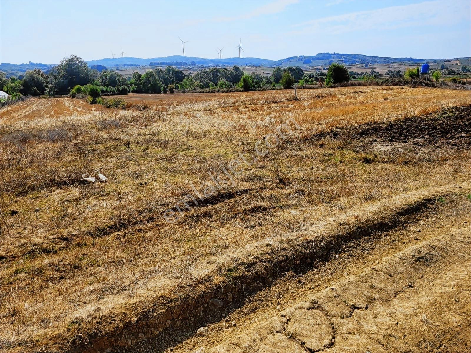 Kandıra Bollu Köyünde Turizm Bölgesinde Fırsat - Görsel 5