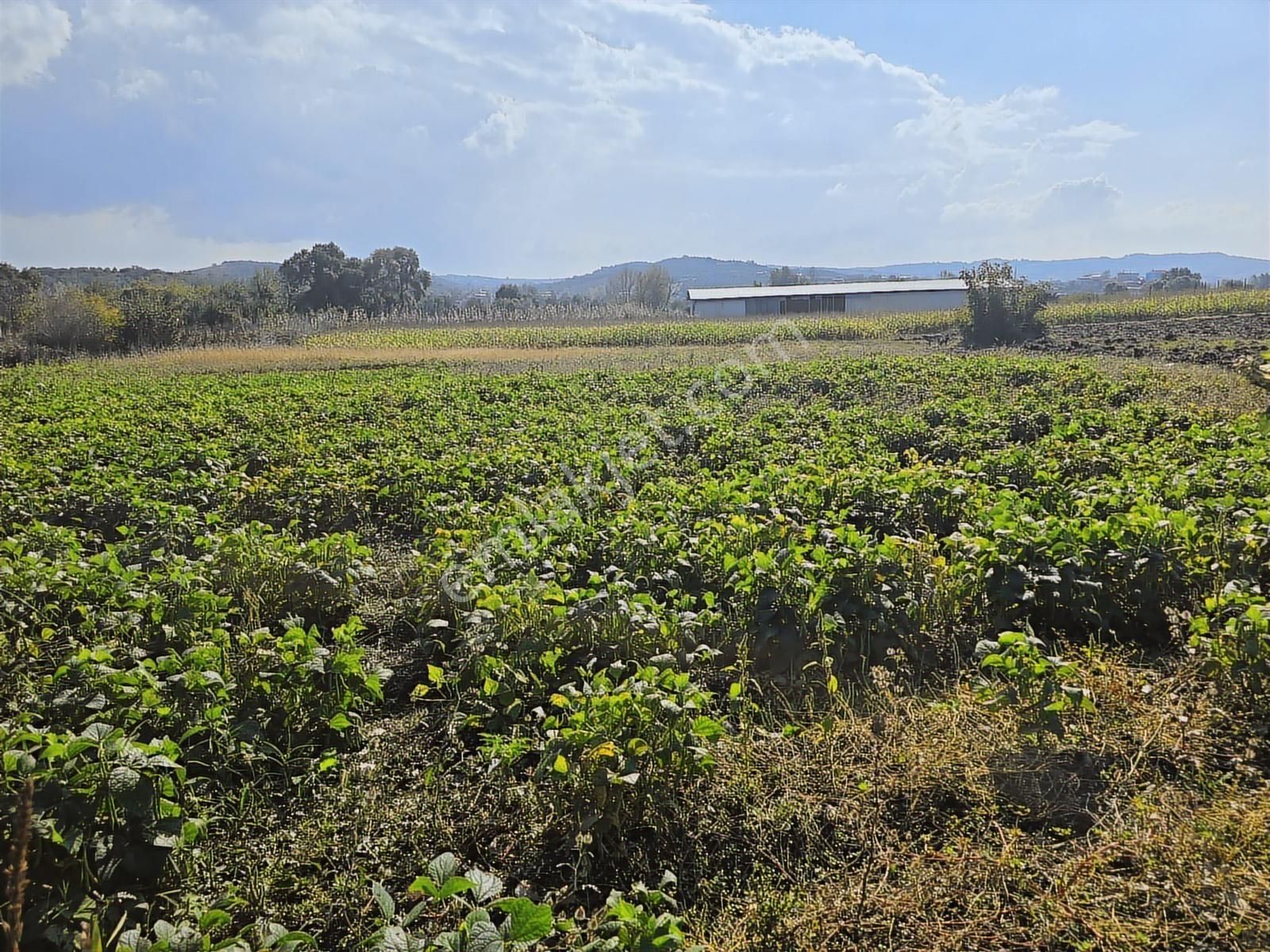 Nilüfer Çaylı'da Asfalta Cephe Tek Tapu 2637m2 Kupon Arazi - Görsel 9
