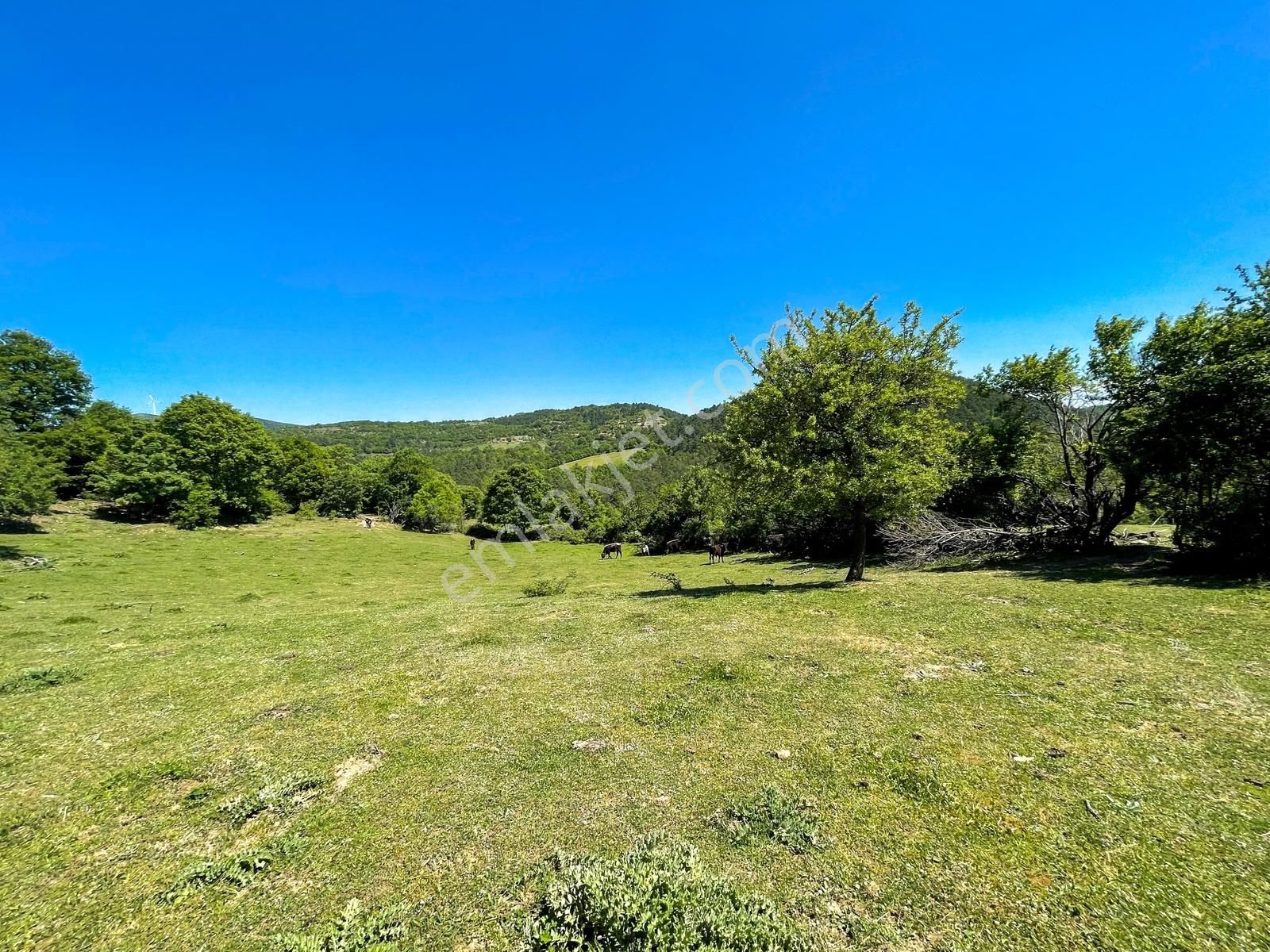 Çanakkale Merkez Çamyayla Köyü'nde %40 İmarlı 5.134 M² Arsa! - Görsel 13