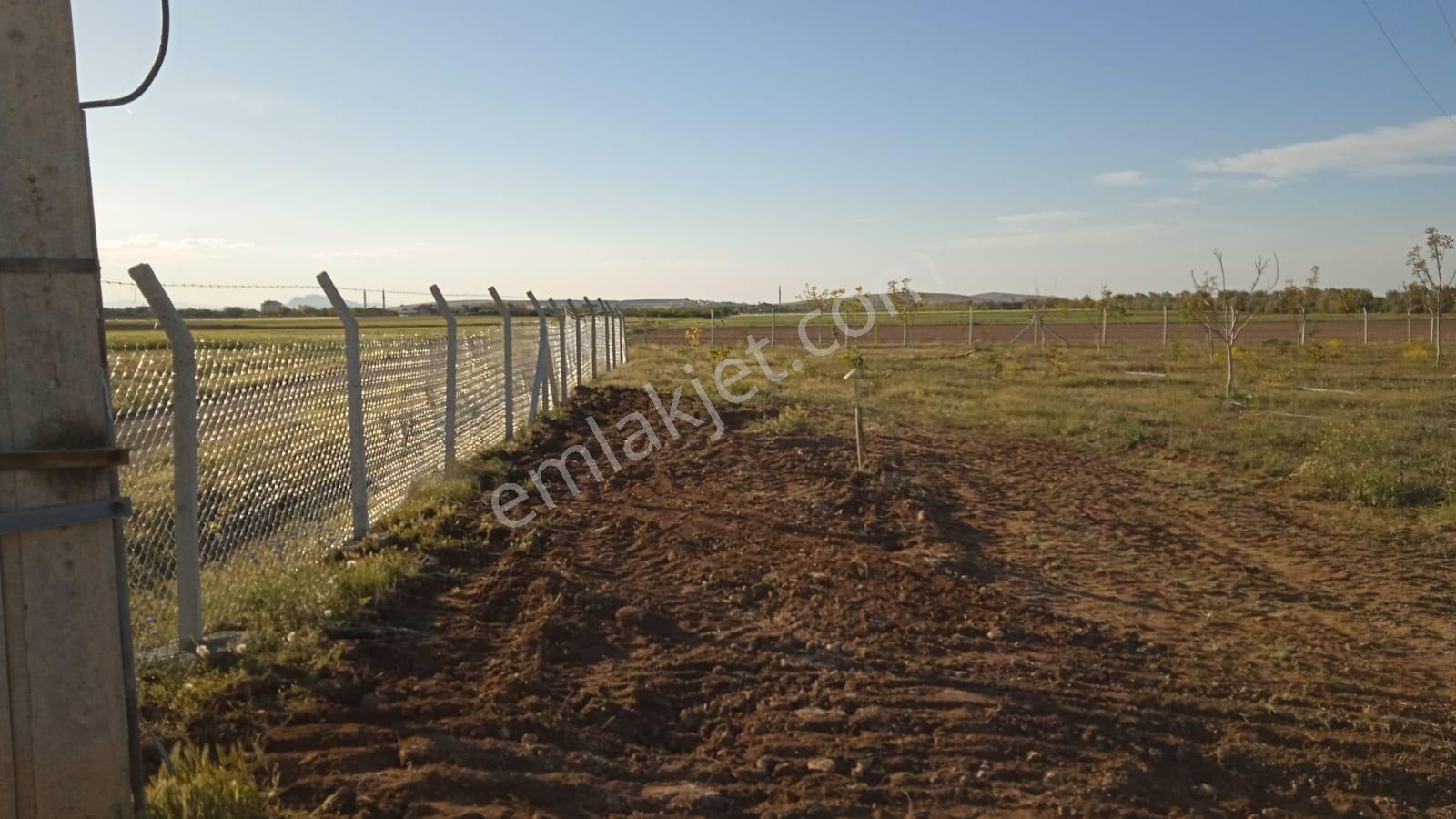 Karaman Yolu Sağı Avdul Tapulamada Suyu Olan Müstakil Bahçe-fidanlık - Görsel 15