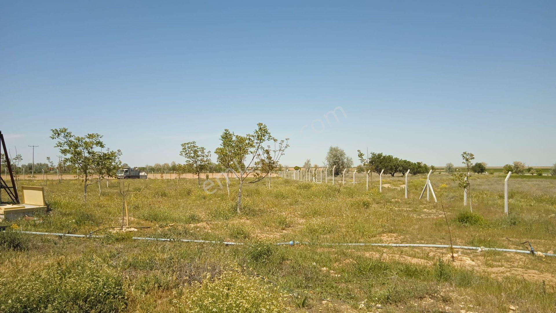 Karaman Yolu Sağı Avdul Tapulamada Suyu Olan Müstakil Bahçe-fidanlık - Görsel 12