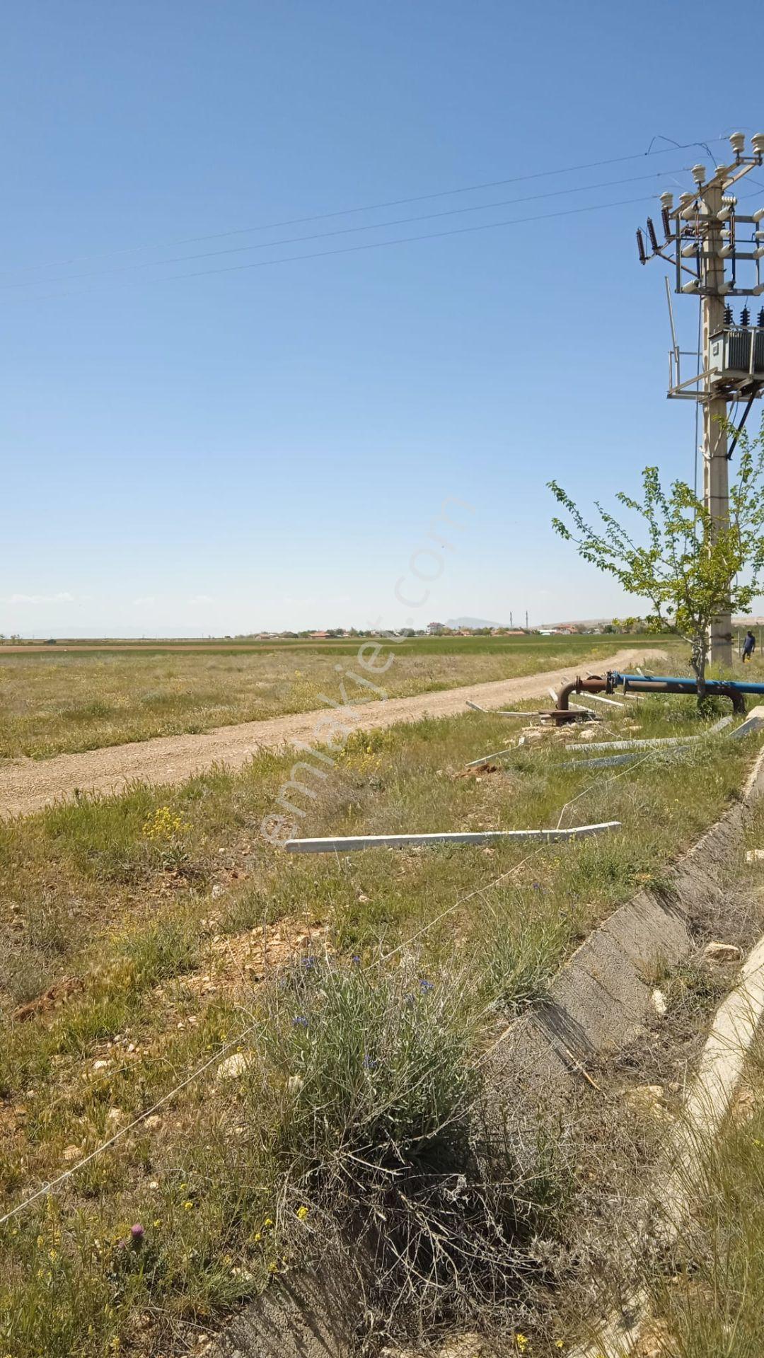 Karaman Yolu Sağı Avdul Tapulamada Suyu Olan Müstakil Bahçe-fidanlık - Görsel 13