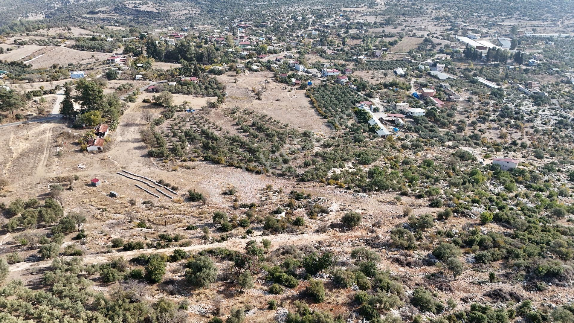 Ra Gayrimenkul Meşelik Mah. 14.659 M Satılık Tarla Ve Zeytinlik - Görsel 10