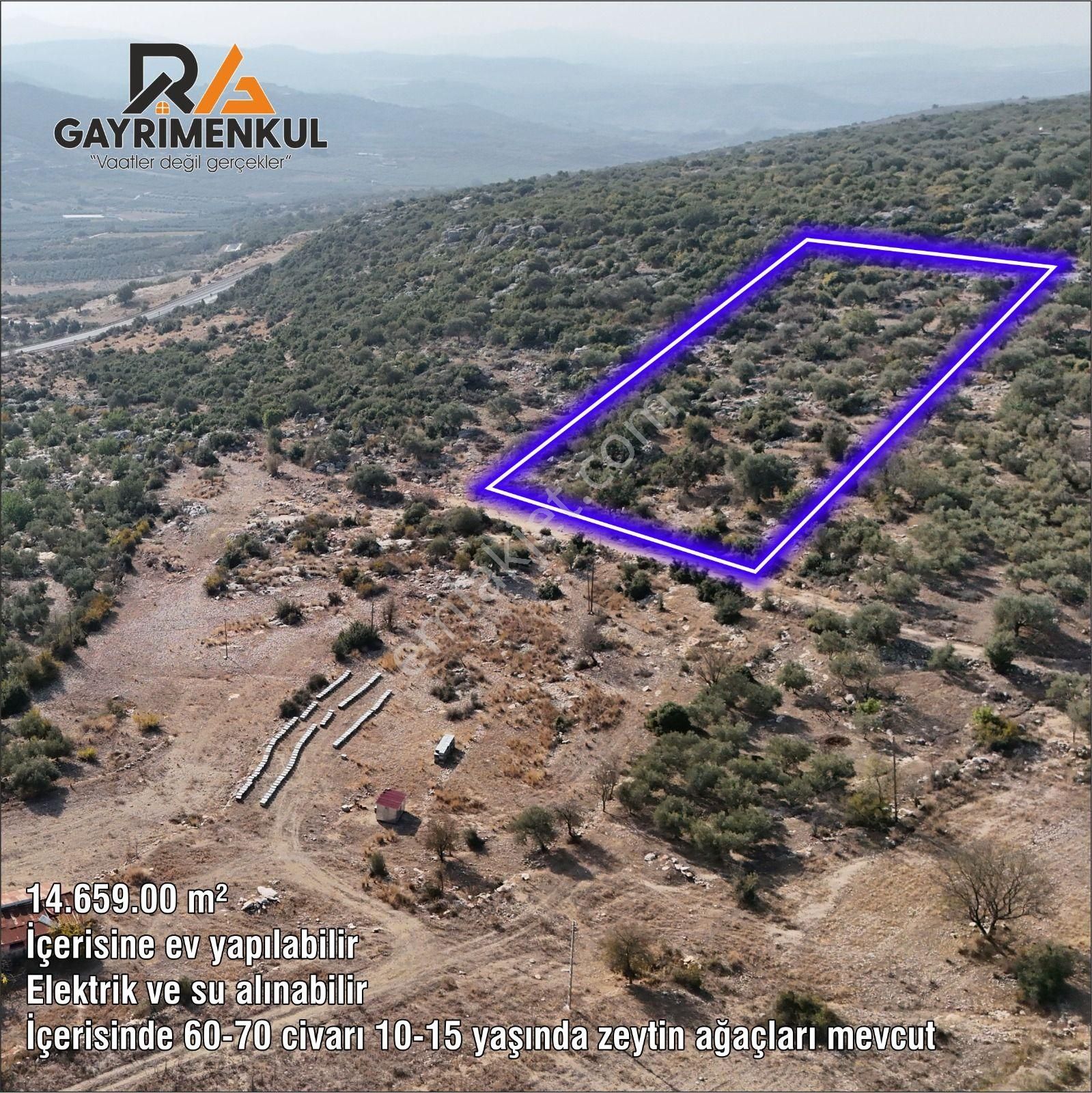 Ra Gayrimenkul Meşelik Mah. 14.659 M Satılık Tarla Ve Zeytinlik