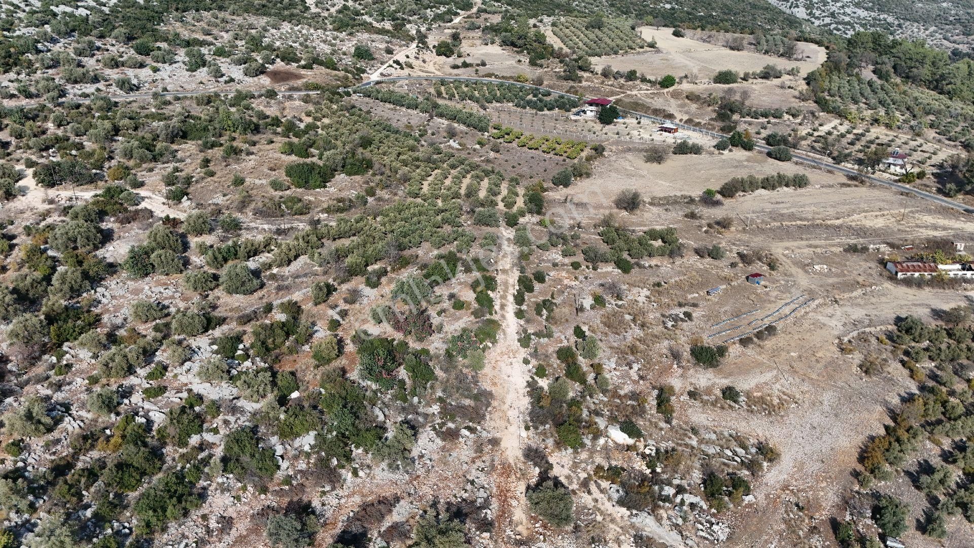 Ra Gayrimenkul Meşelik Mah. 14.659 M Satılık Tarla Ve Zeytinlik - Görsel 29