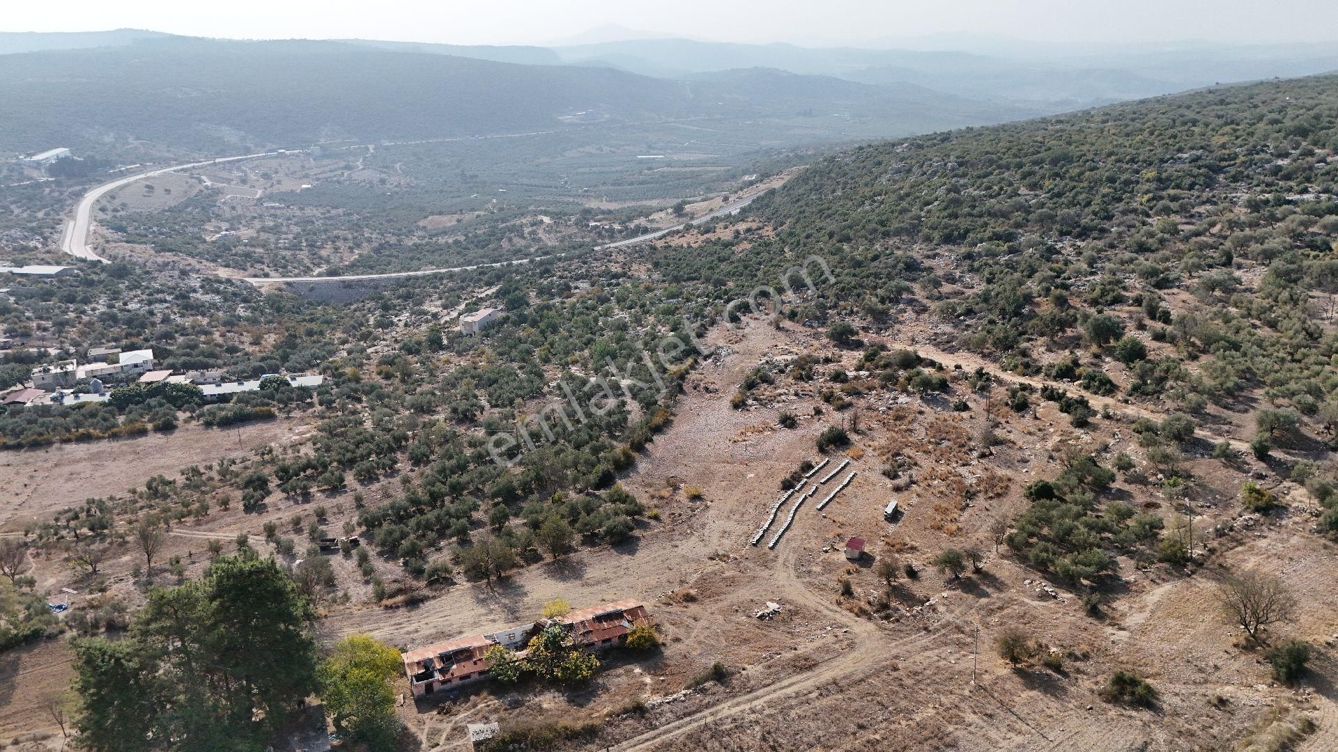 Ra Gayrimenkul Meşelik Mah. 14.659 M Satılık Tarla Ve Zeytinlik - Görsel 31