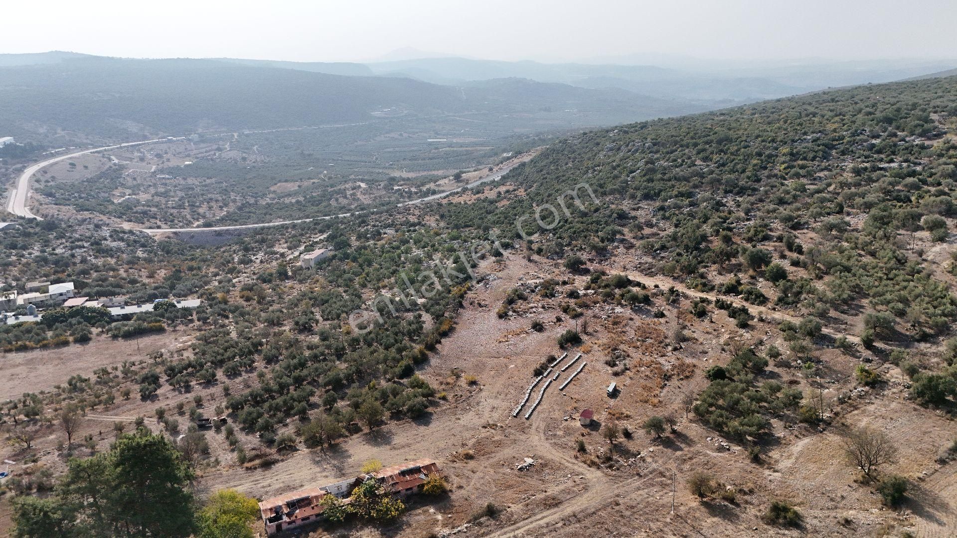 Ra Gayrimenkul Meşelik Mah. 14.659 M Satılık Tarla Ve Zeytinlik - Görsel 30