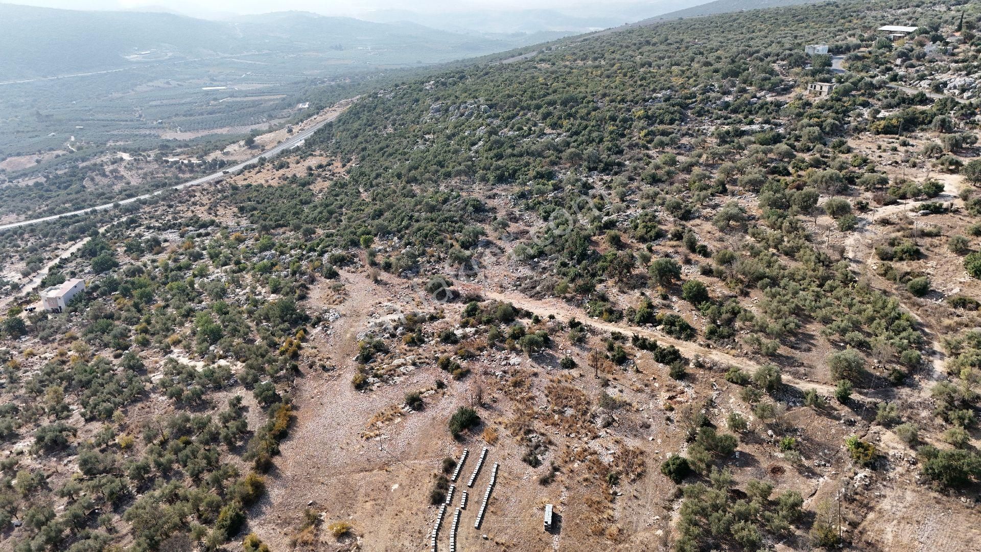 Ra Gayrimenkul Meşelik Mah. 14.659 M Satılık Tarla Ve Zeytinlik - Görsel 19