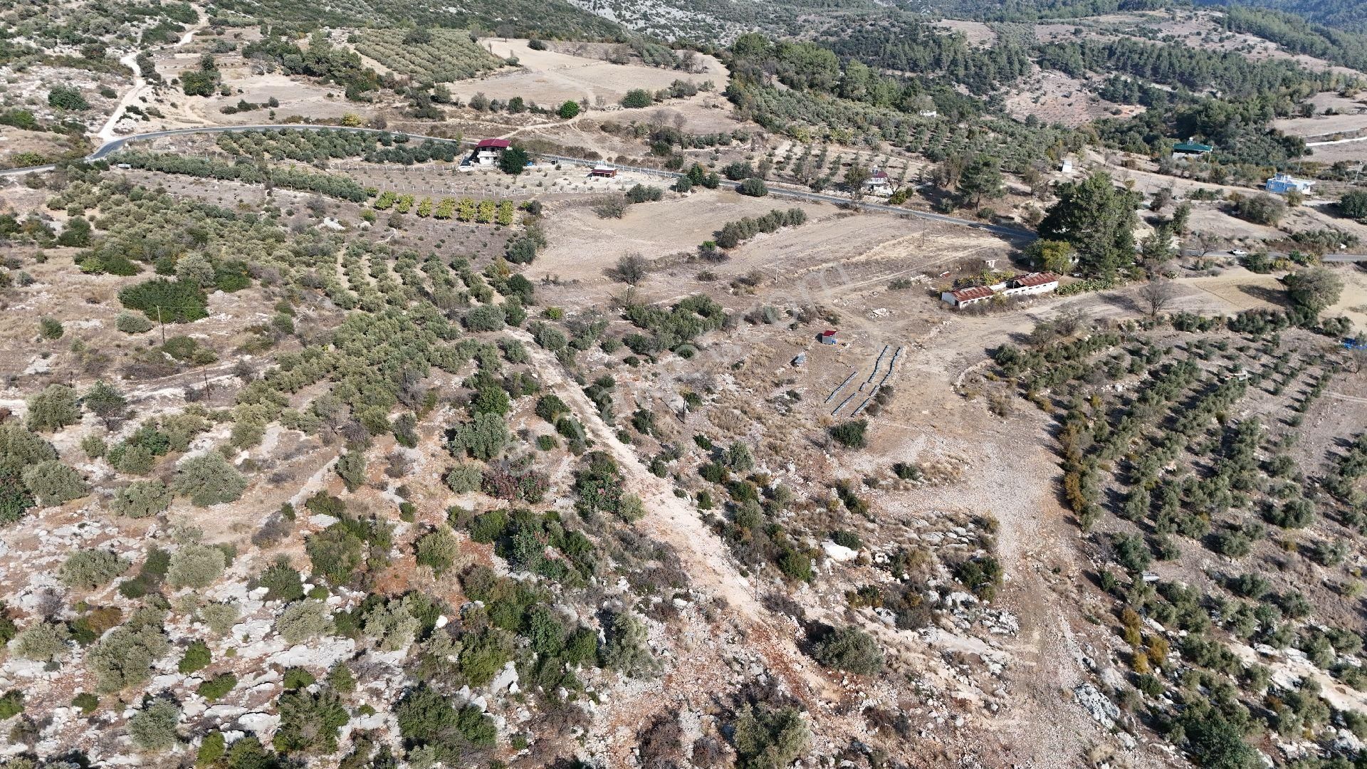 Ra Gayrimenkul Meşelik Mah. 14.659 M Satılık Tarla Ve Zeytinlik - Görsel 28