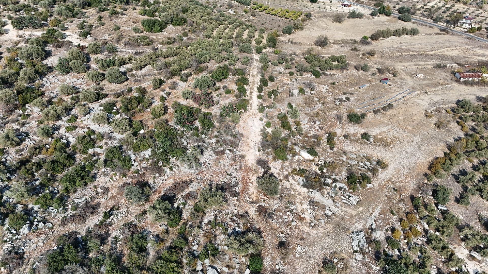 Ra Gayrimenkul Meşelik Mah. 14.659 M Satılık Tarla Ve Zeytinlik - Görsel 27