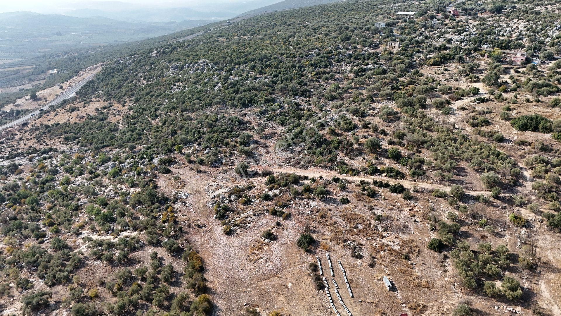 Ra Gayrimenkul Meşelik Mah. 14.659 M Satılık Tarla Ve Zeytinlik - Görsel 16