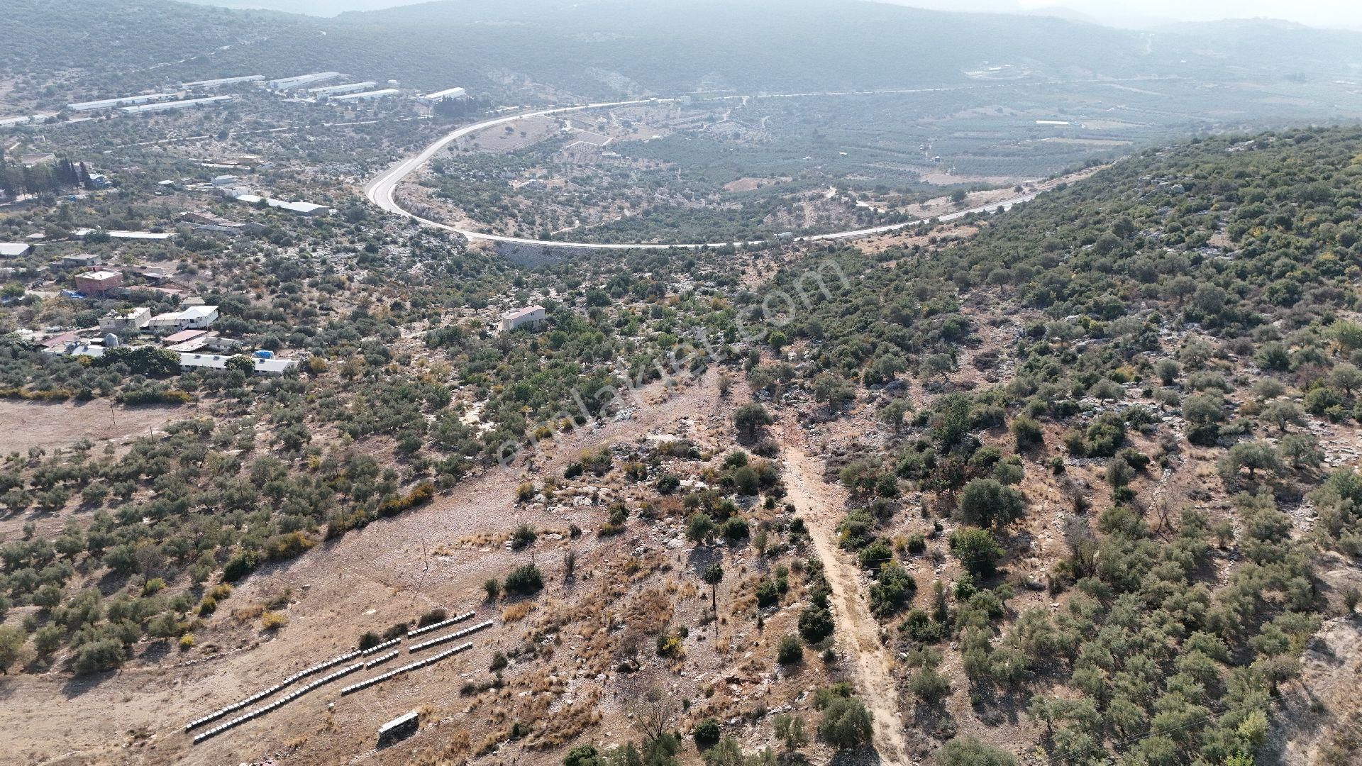 Ra Gayrimenkul Meşelik Mah. 14.659 M Satılık Tarla Ve Zeytinlik - Görsel 21