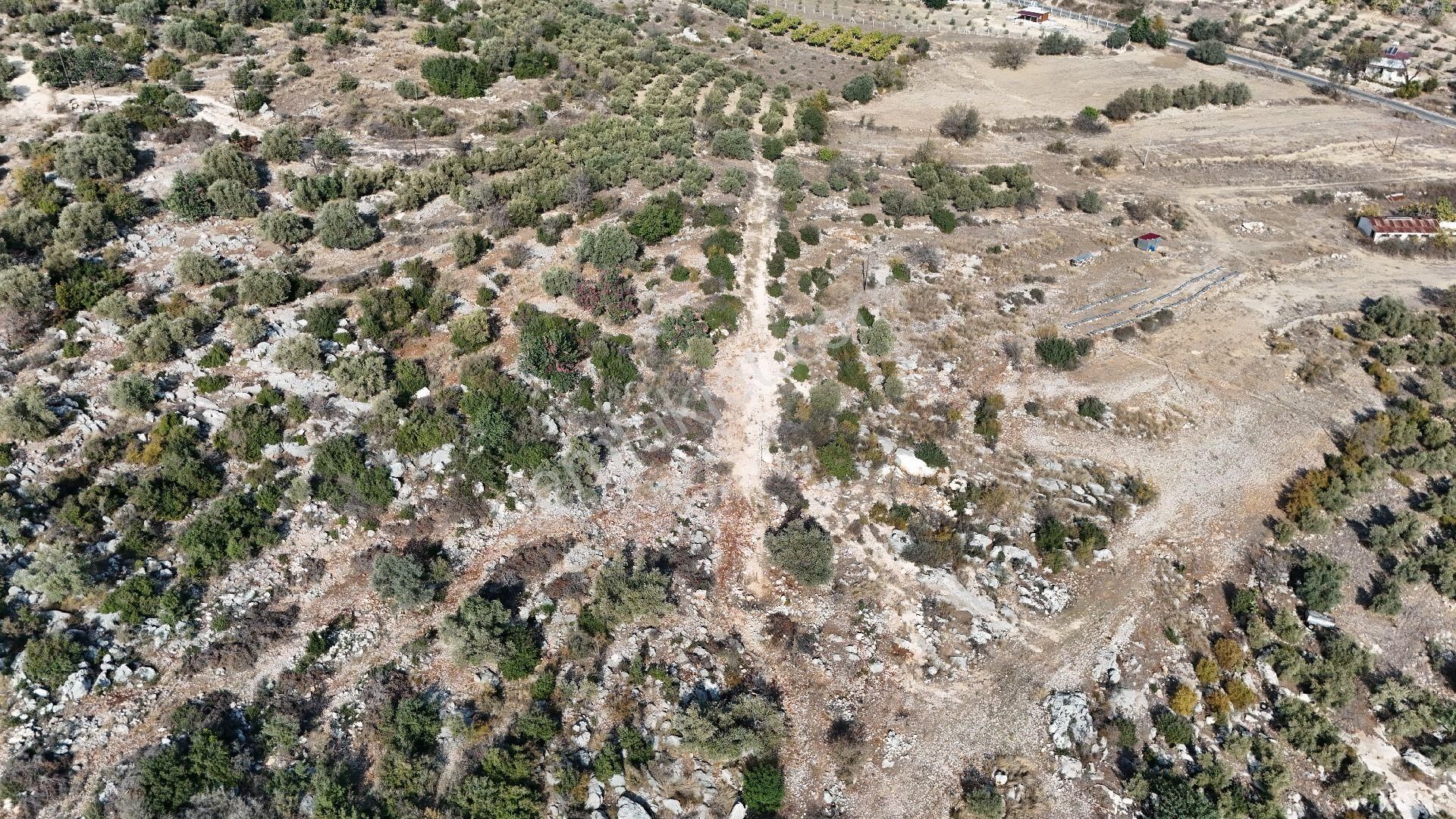 Ra Gayrimenkul Meşelik Mah. 14.659 M Satılık Tarla Ve Zeytinlik - Görsel 4